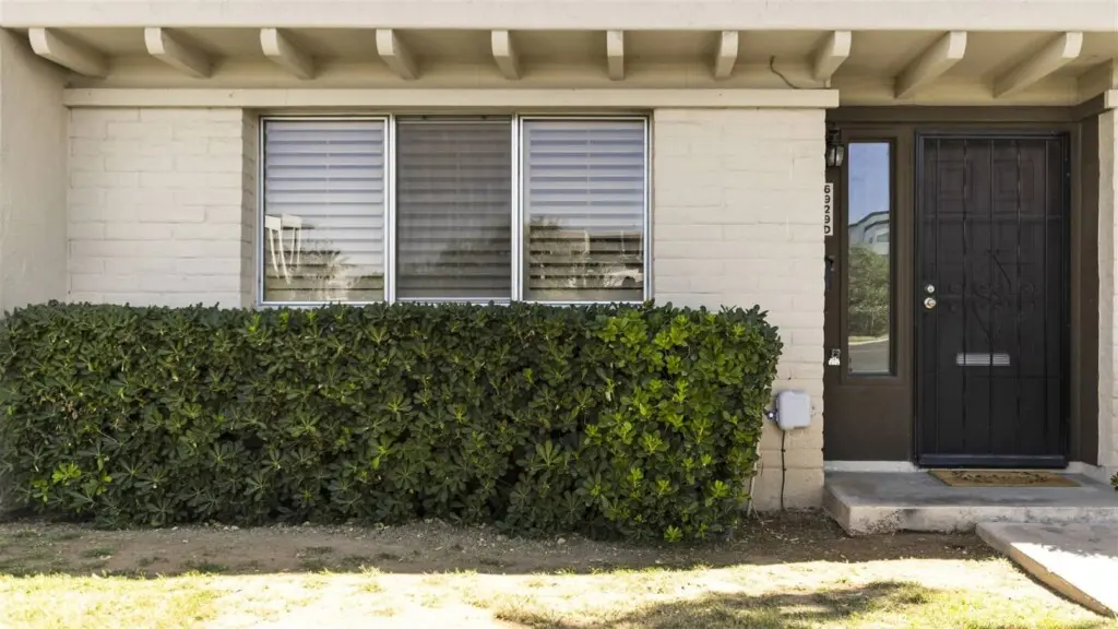 9498da9e 7331 4712 b6f8 f2b355c65fec