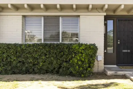 9498da9e 7331 4712 b6f8 f2b355c65fec