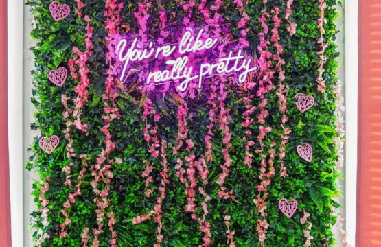 9d96b9a1 65cf 4259 b0a1 d4fabe0a923b